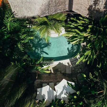 Conga Boutique Hotel Puerto Viejo de Talamanca Εξωτερικό φωτογραφία